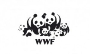 WWF logo: i panda